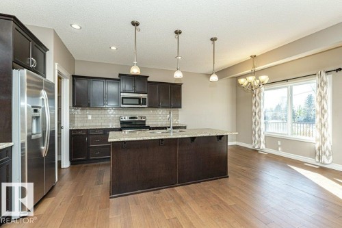 1920 33B Street, Edmonton, AB - Indoor Photo Showing Kitchen With Double Sink With Upgraded Kitchen