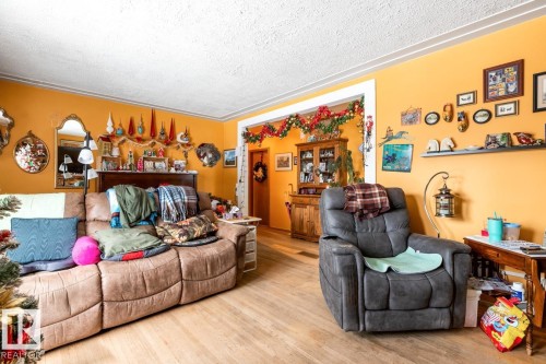 9236 86 Street, Edmonton, AB - Indoor Photo Showing Living Room