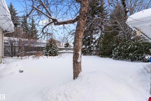 Yard covered in snow featuring a fenced backyard - 17107 86 Avenue Nw, Edmonton, AB - Outdoor With View