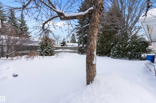 Yard layered in snow featuring a fenced backyard - 17107 86 Avenue Nw, Edmonton, AB - Outdoor