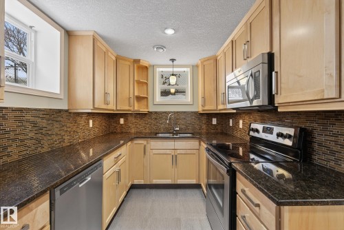 9714 87 Street, Edmonton, AB - Indoor Photo Showing Kitchen With Double Sink With Upgraded Kitchen