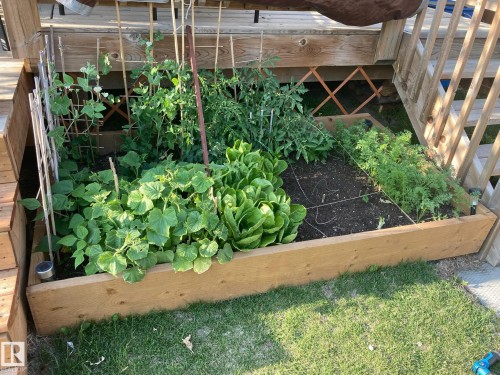 Exterior view of a garden - 25 Harrison Gate, Spruce Grove, AB - Outdoor