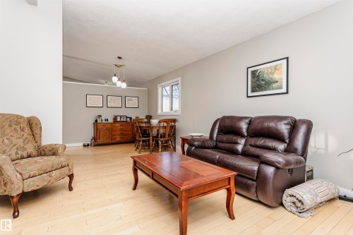 4436 117 Street, Edmonton, AB - Indoor Photo Showing Living Room