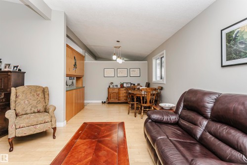 4436 117 Street, Edmonton, AB - Indoor Photo Showing Living Room