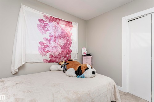 4436 117 Street, Edmonton, AB - Indoor Photo Showing Bedroom