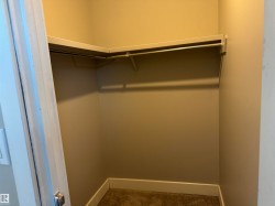 Walk in closet with carpet flooring - 