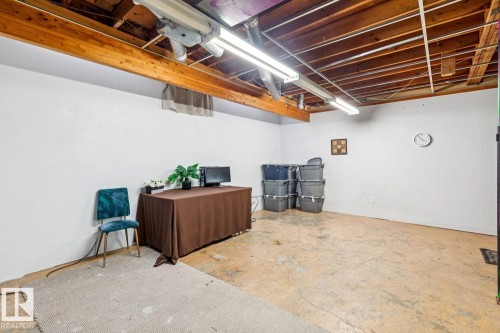 12116 48 Street, Edmonton, AB - Indoor Photo Showing Basement