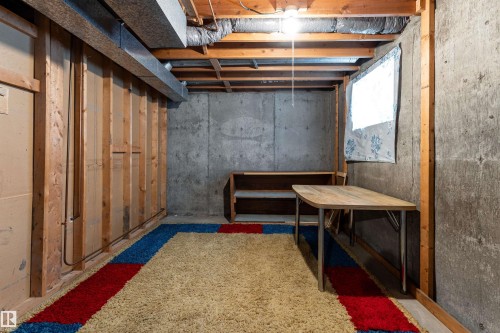 16728 98 Avenue, Edmonton, AB - Indoor Photo Showing Basement