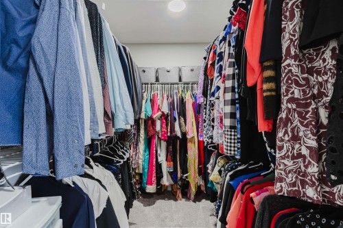 Walk in closet with carpet floors - 343 Edgemont Drive, Edmonton, AB - Indoor With Storage