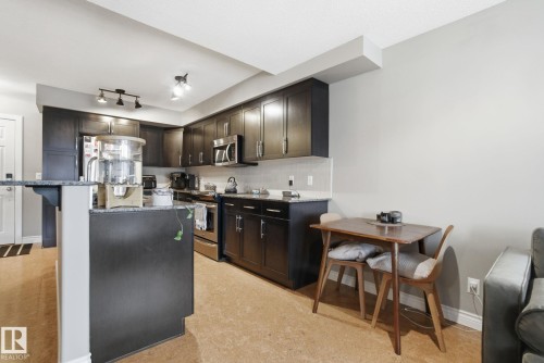 301 9603 98 Avenue, Edmonton, AB - Indoor Photo Showing Kitchen