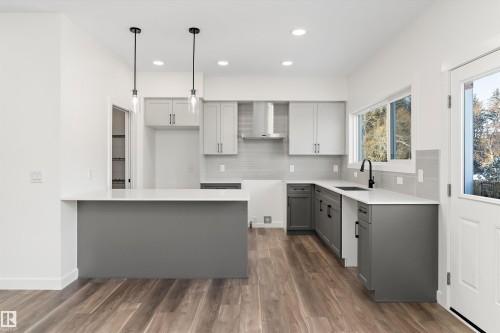 20720 43 Avenue, Edmonton, AB - Indoor Photo Showing Kitchen With Upgraded Kitchen