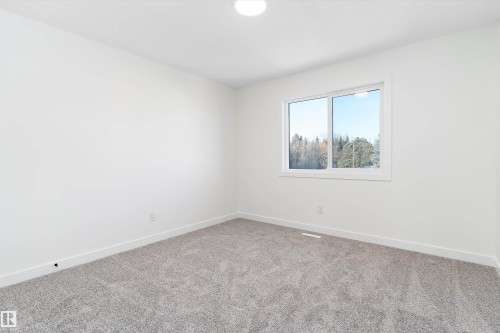 20720 43 Avenue, Edmonton, AB - Indoor Photo Showing Other Room