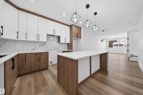 5213 104A Street, Edmonton, AB - Indoor Photo Showing Kitchen With Upgraded Kitchen