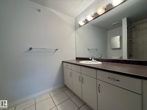 304 9803 96A Street, Edmonton, AB - Indoor Photo Showing Bathroom