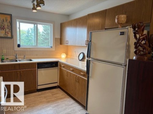 215 18004 95 Avenue, Edmonton, AB - Indoor Photo Showing Kitchen With Double Sink