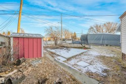 View of yard featuring a trampoline, a storage unit, and a patio - 
