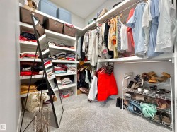 Walk in closet with light carpet - 