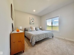 Bedroom featuring light carpet and recessed lighting - 