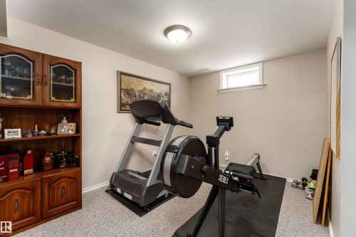 5114 51 Street, Bruderheim, AB - Indoor Photo Showing Gym Room