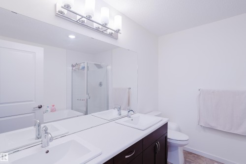 2124 Glenridding Way, Edmonton, AB - Indoor Photo Showing Bathroom