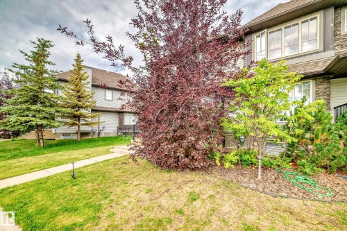 3834 Allan Drive, Edmonton, AB - Outdoor