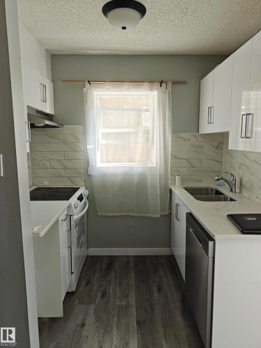 11406 82 Street, Edmonton, AB - Indoor Photo Showing Kitchen With Double Sink