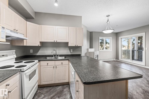 303 10118 95 Street, Edmonton, AB - Indoor Photo Showing Kitchen With Double Sink