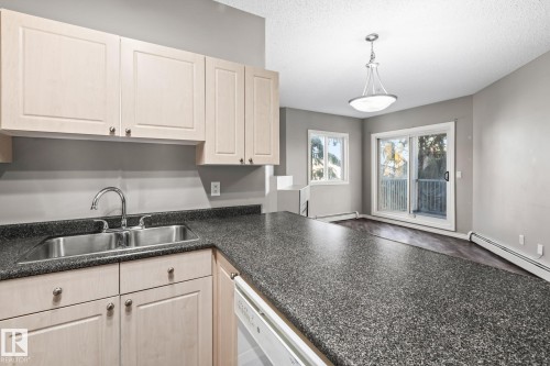 303 10118 95 Street, Edmonton, AB - Indoor Photo Showing Kitchen With Double Sink