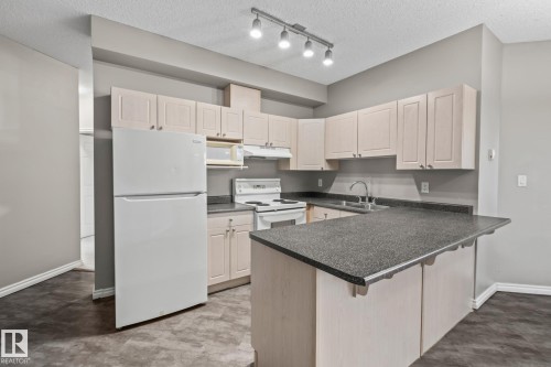 303 10118 95 Street, Edmonton, AB - Indoor Photo Showing Kitchen With Double Sink