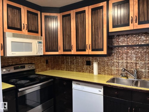 17 10721 116 Street, Edmonton, AB - Indoor Photo Showing Kitchen With Double Sink