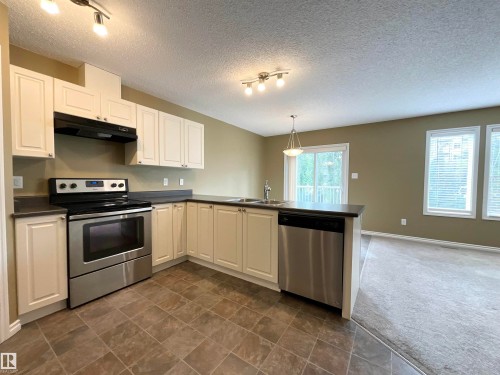 33 9350 211 Street, Edmonton, AB - Indoor Photo Showing Kitchen With Double Sink