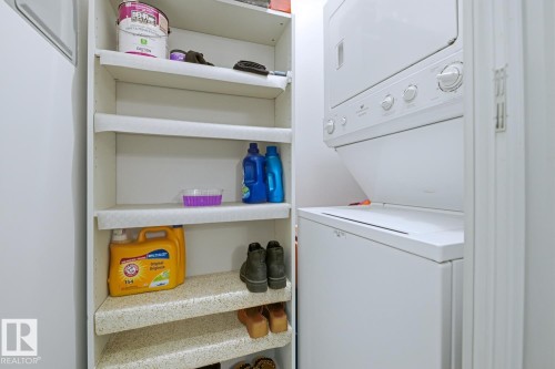 316 9620 174 Street, Edmonton, AB - Indoor Photo Showing Laundry Room