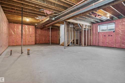 281 Paterson Link Link, Edmonton, AB - Indoor Photo Showing Basement