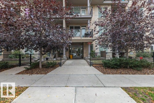 305 9907 91 Avenue  Edmonton, AB T6E 2T7