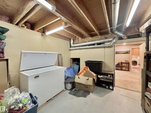 1035 109 Street, Edmonton, AB - Indoor Photo Showing Basement