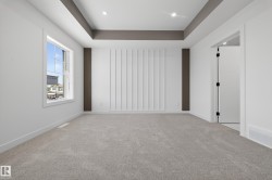 Spare room with carpet and a tray ceiling - 