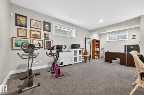 20017 128A Avenue, Edmonton, AB - Indoor Photo Showing Gym Room