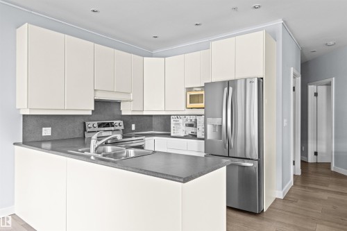 204 11415 100 Avenue, Edmonton, AB - Indoor Photo Showing Kitchen With Double Sink