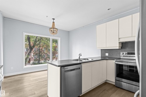 204 11415 100 Avenue, Edmonton, AB - Indoor Photo Showing Kitchen With Double Sink