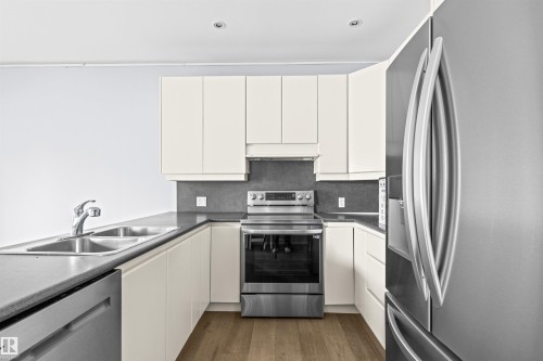 204 11415 100 Avenue, Edmonton, AB - Indoor Photo Showing Kitchen With Double Sink