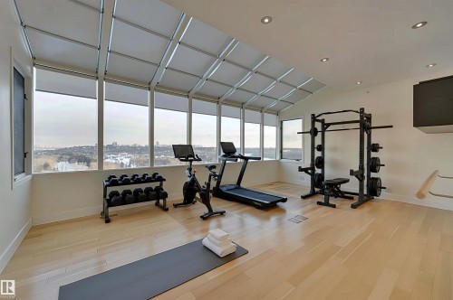 28 Riverside Crescent, Edmonton, AB - Indoor Photo Showing Gym Room