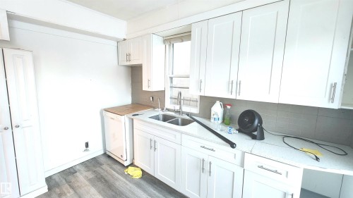 12411 86 Street, Edmonton, AB - Indoor Photo Showing Kitchen With Double Sink