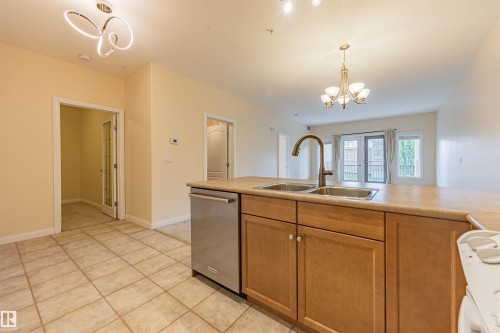 110 1406 Hodgson Way, Edmonton, AB - Indoor Photo Showing Kitchen With Double Sink