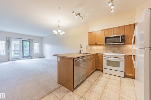 110 1406 Hodgson Way, Edmonton, AB - Indoor Photo Showing Kitchen With Double Sink