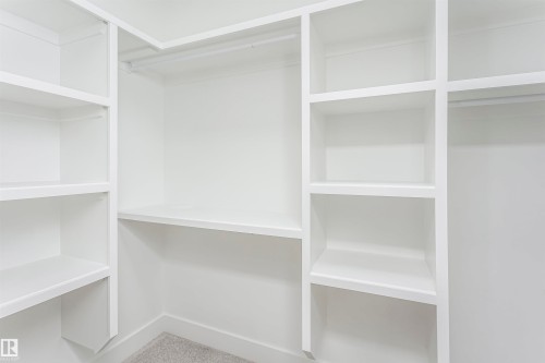 Walk in closet with carpet - 220 Edgemont Green Green, Edmonton, AB - Indoor With Storage