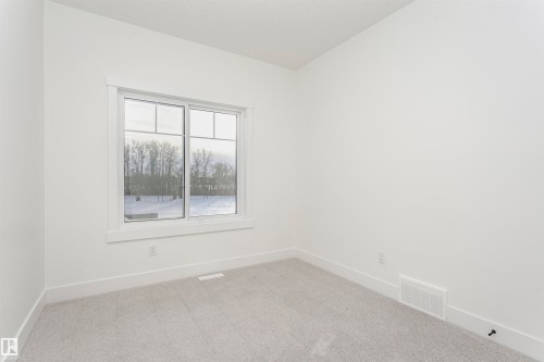 Empty room with baseboards and carpet flooring - 220 Edgemont Green Green, Edmonton, AB - Indoor Photo Showing Other Room