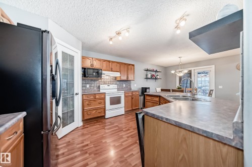4713 190A Street, Edmonton, AB - Indoor Photo Showing Kitchen With Double Sink