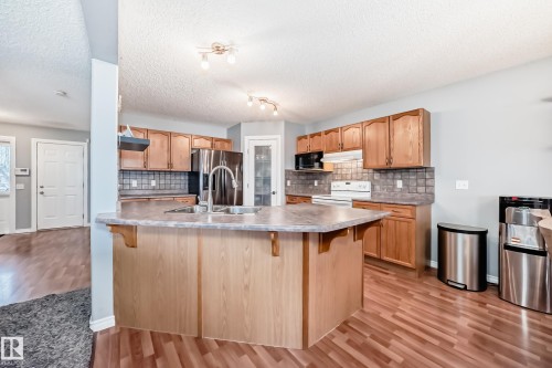4713 190A Street, Edmonton, AB - Indoor Photo Showing Kitchen With Double Sink