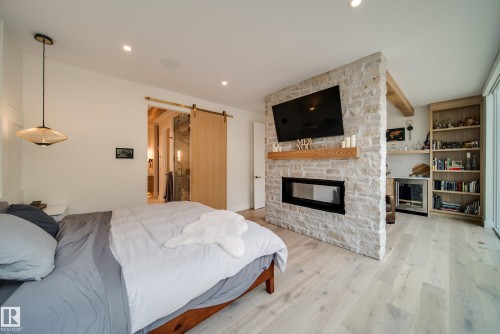 9651 96A Street, Edmonton, AB - Indoor Photo Showing Living Room With Fireplace