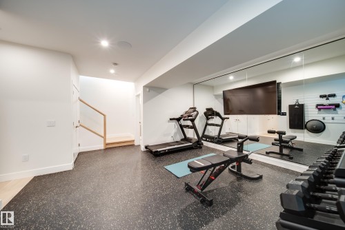 9651 96A Street, Edmonton, AB - Indoor Photo Showing Gym Room